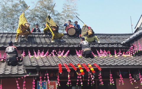 宮城県　加美郡　加美町　田舎　火伏の虎舞　中新田 お祭り　(3)